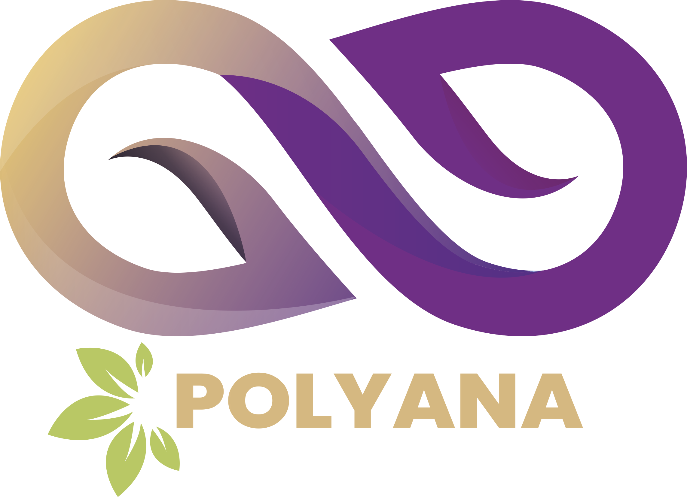 logo polyana 2024